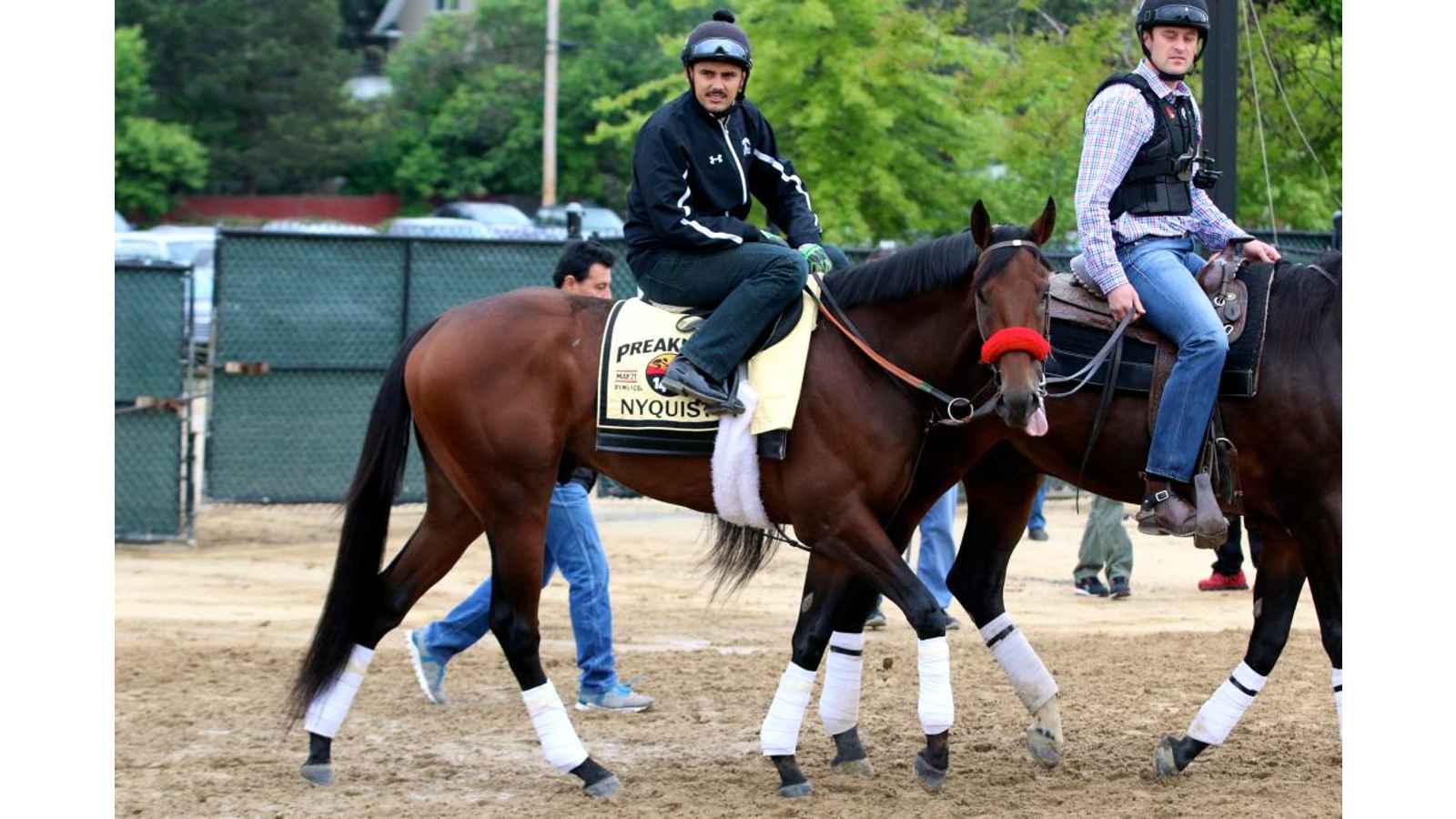 Preakness Stakes 2023: Date, History, Facts, Activities
