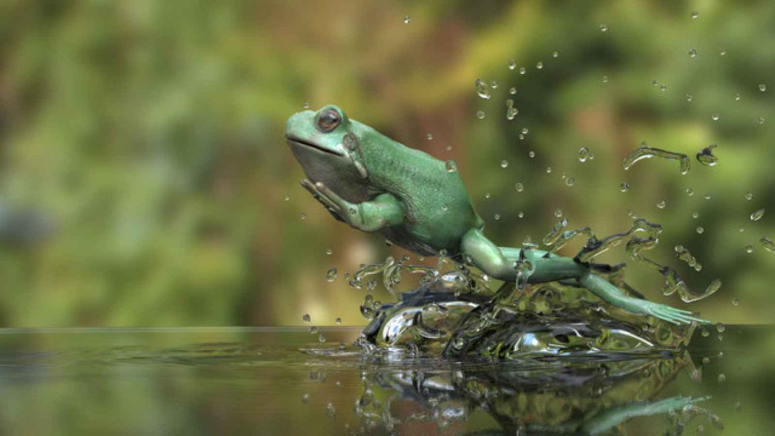 National Frog Jumping Day 2023 Date, History, Facts about Frogs