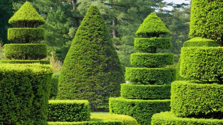 World Topiary Day 2023: Date, History, Facts, Activities