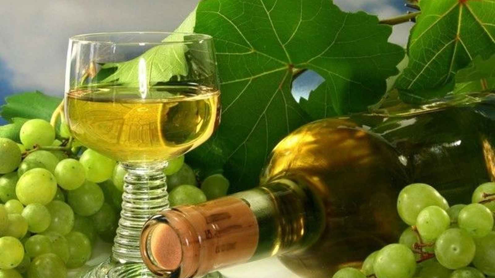 Chardonnay Day Chardonnay Day 2023: Date, History, Facts, Activities