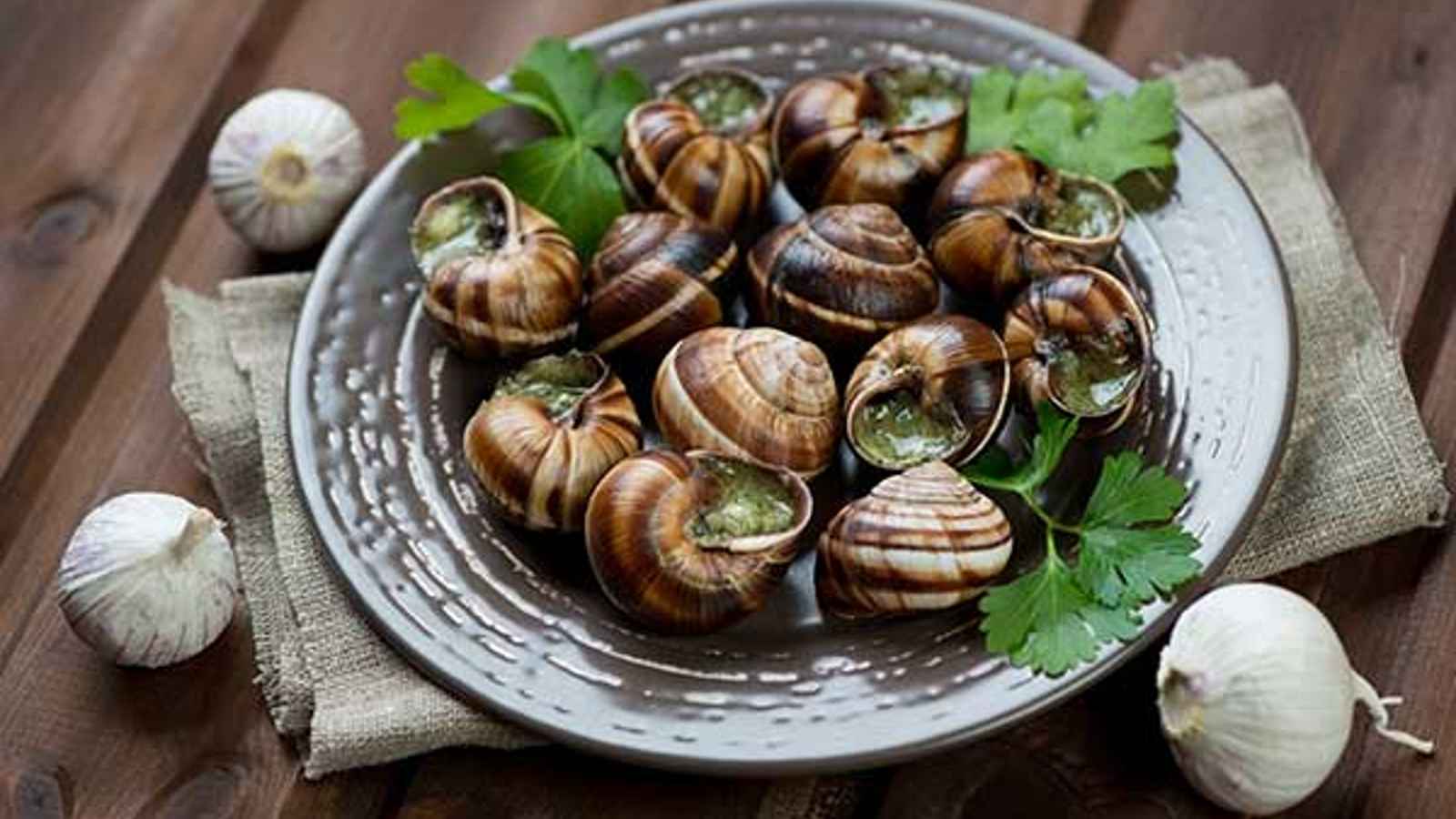 National Escargot Day 2023: Date, History, Facts about Escargot