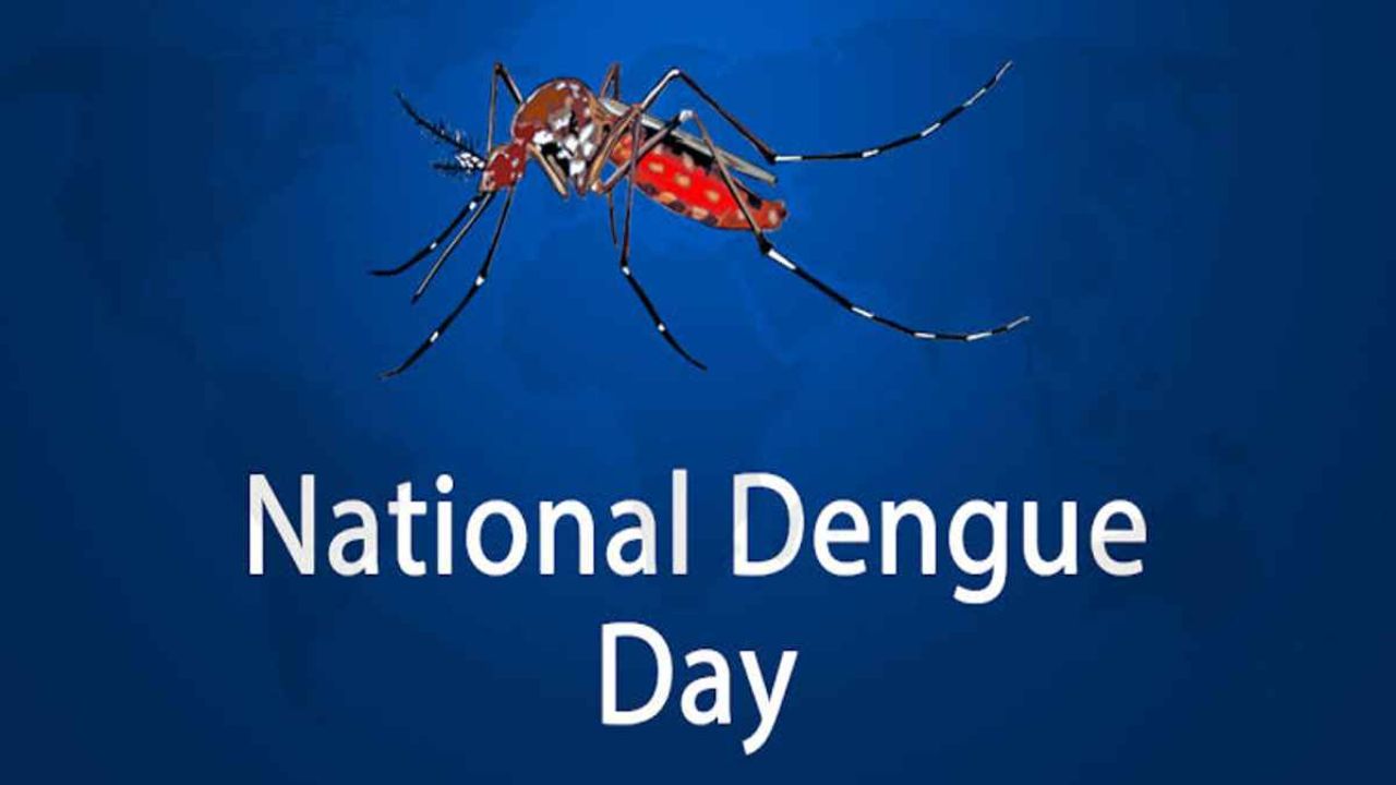 National Dengue Day Messages, Quotes and Slogans