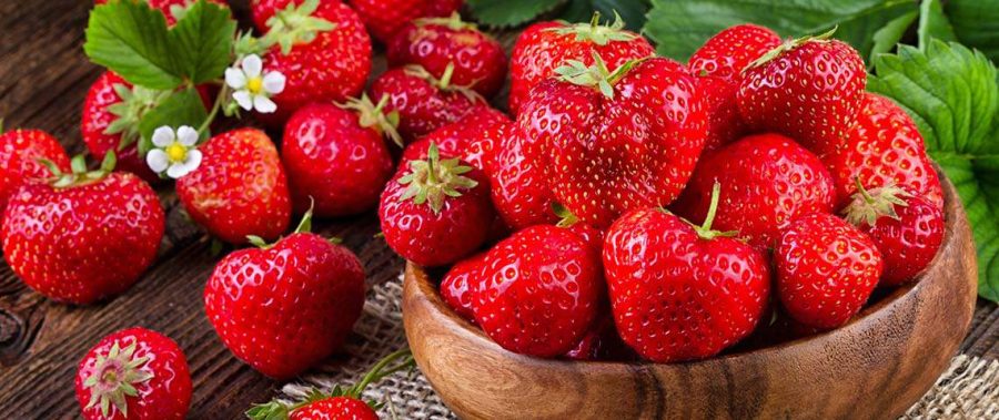 National Pick Strawberries Day 2023: Date, History, Facts about Strawberry