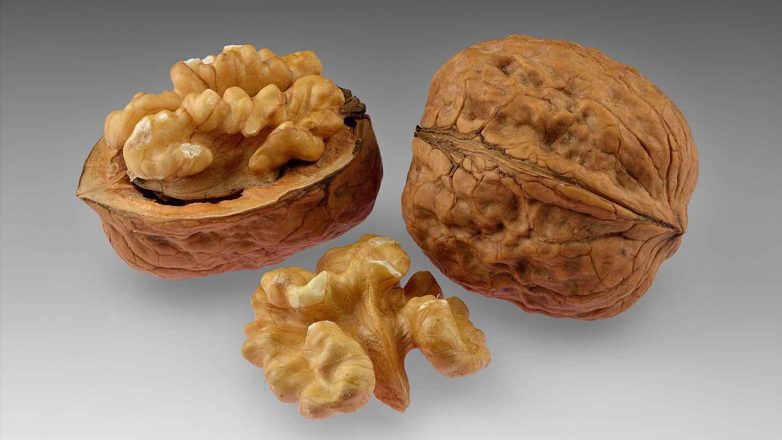 National Walnut Day 2023: Date, History, Activities, Reasons