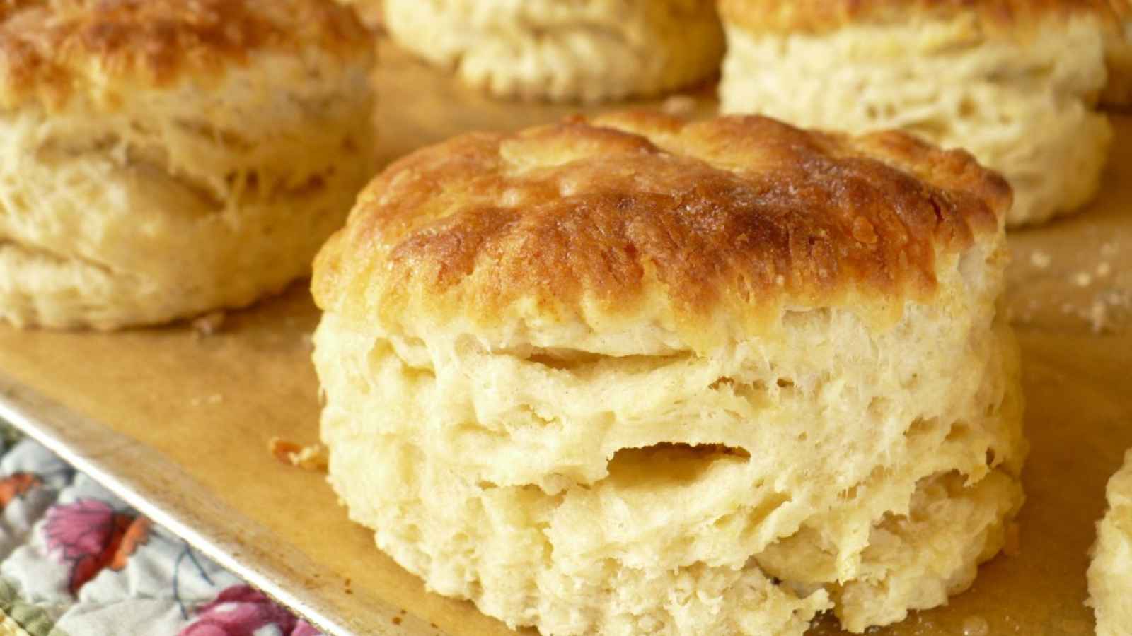 National Buttermilk Biscuit Day 2023: Date, History, Activities