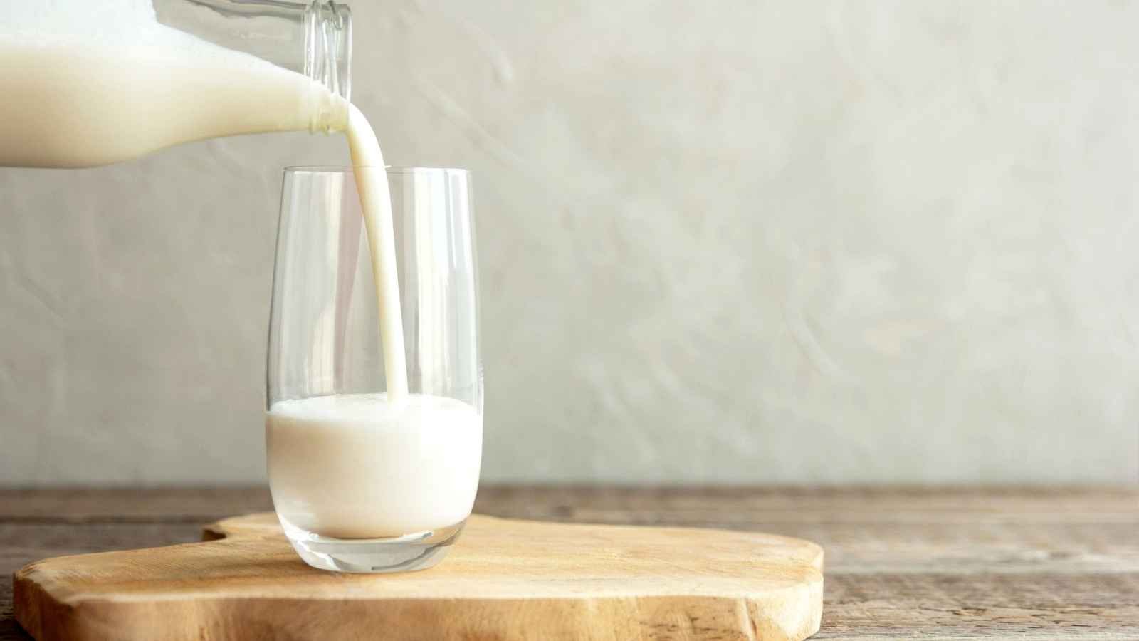 World Milk Day World Milk Day 2023: Date, History, Facts about Milk