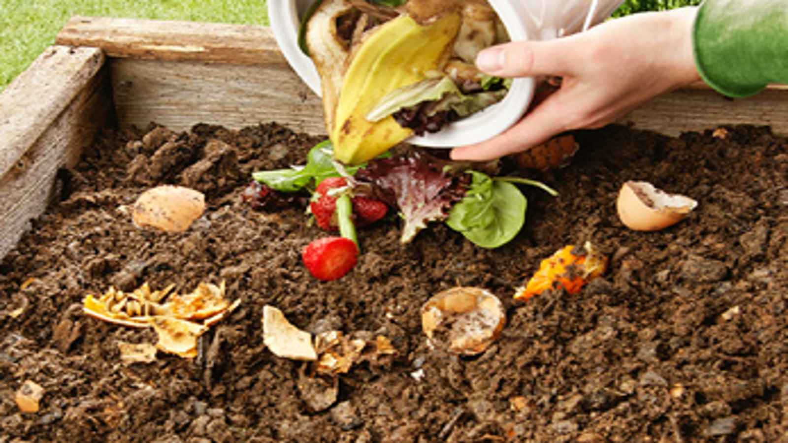 Learn About Composting Day 2023: Date, History, How to Recognise and Learn about Decomposition Day
