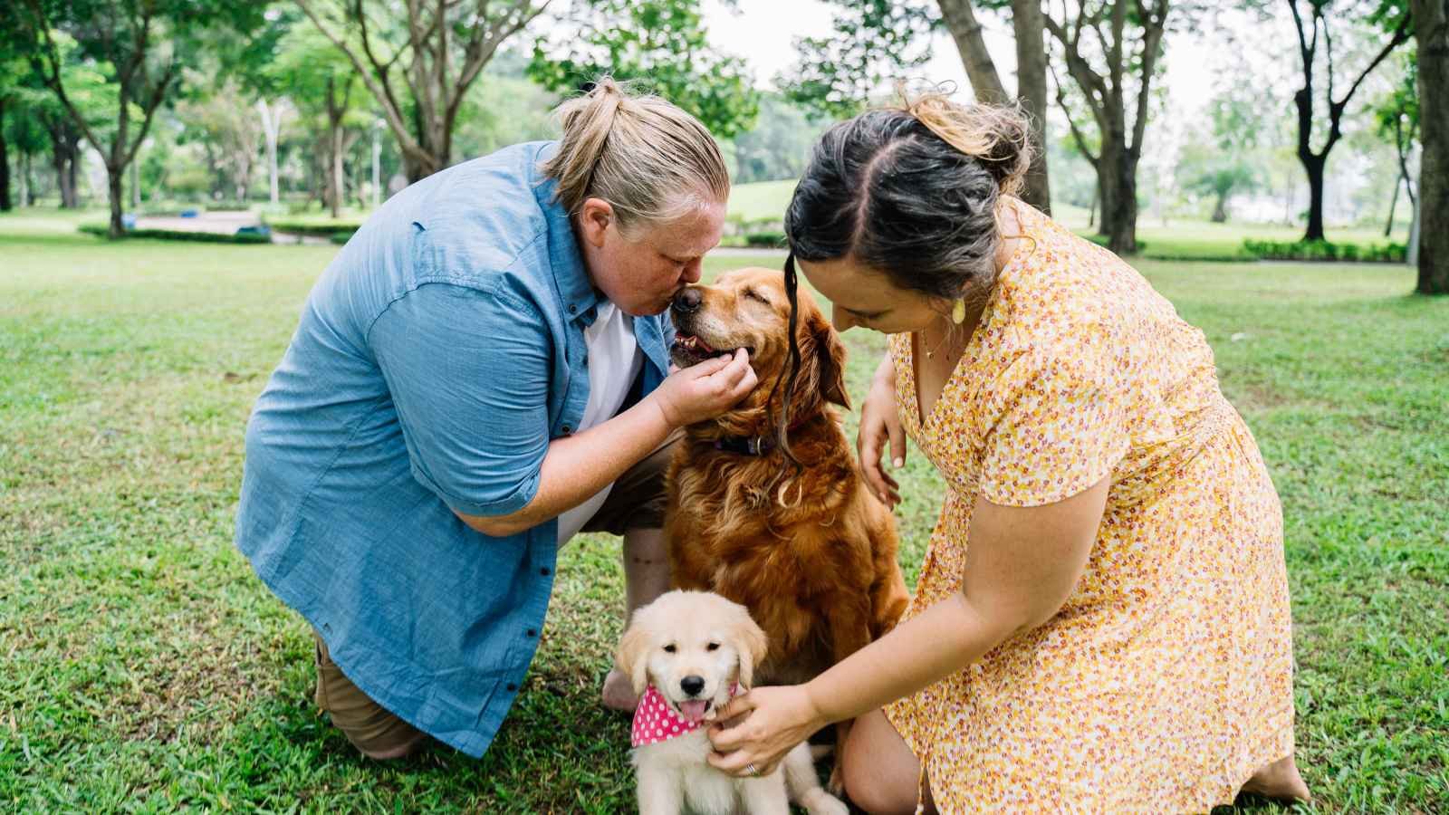 Bond With Your Dog Day Bond With Your Dog Day 2023: Date, History, Facts, Activities
