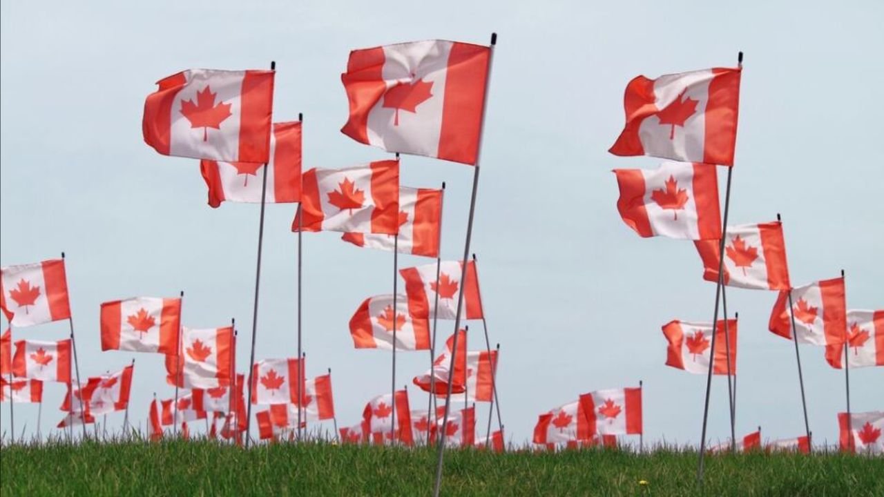Essential Tips for Those Moving to the Great North Canada Essential Tips for Those Moving to the Great North Canada