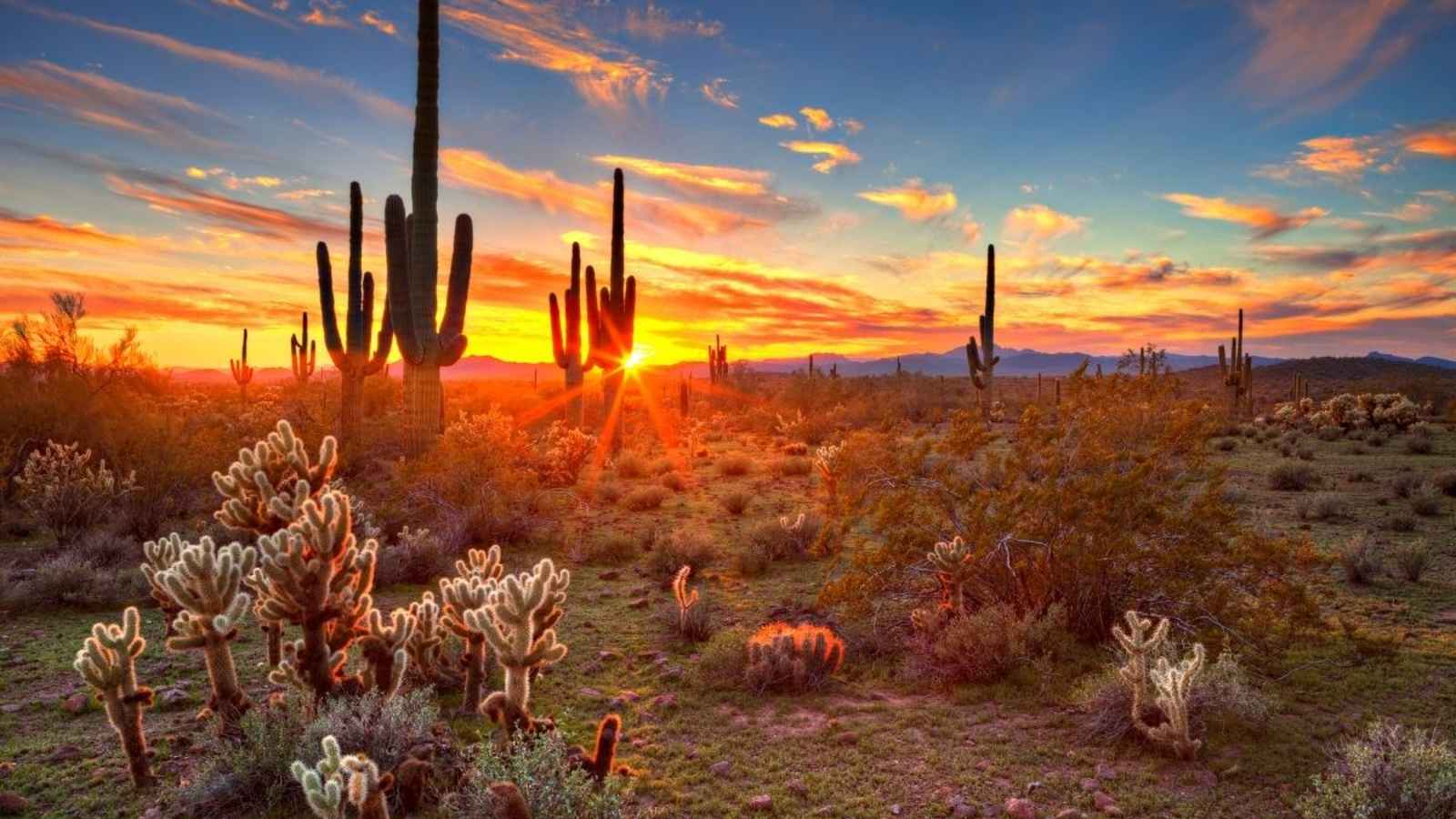 National Arizona Day 2023: Date, History, Facts, Activities