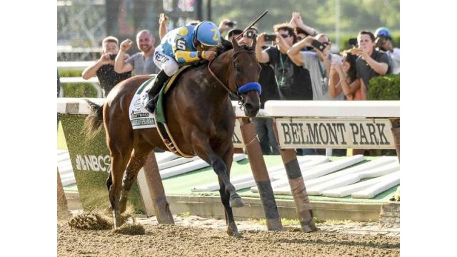Belmont Stakes 2023 Date, History, Facts, Activities