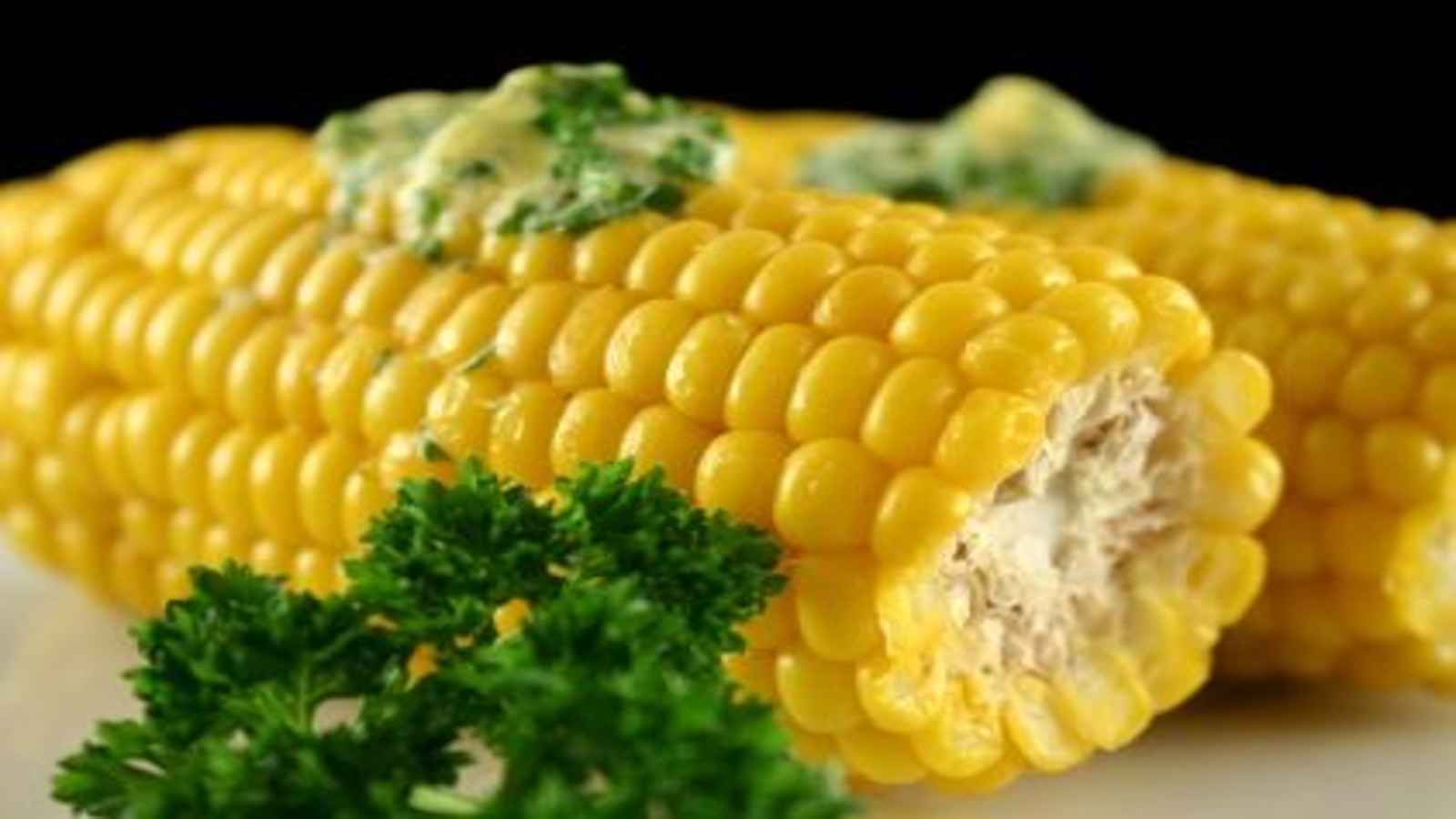 National Corn on the Cob Day 2023 Date, History, Activities