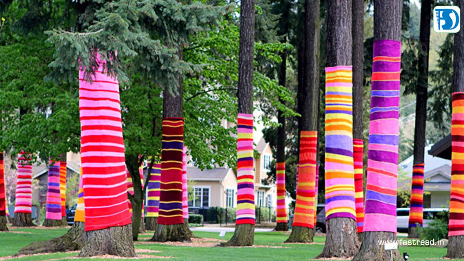 Yarn Bombing Day 2023: Date, History, Facts, Activities