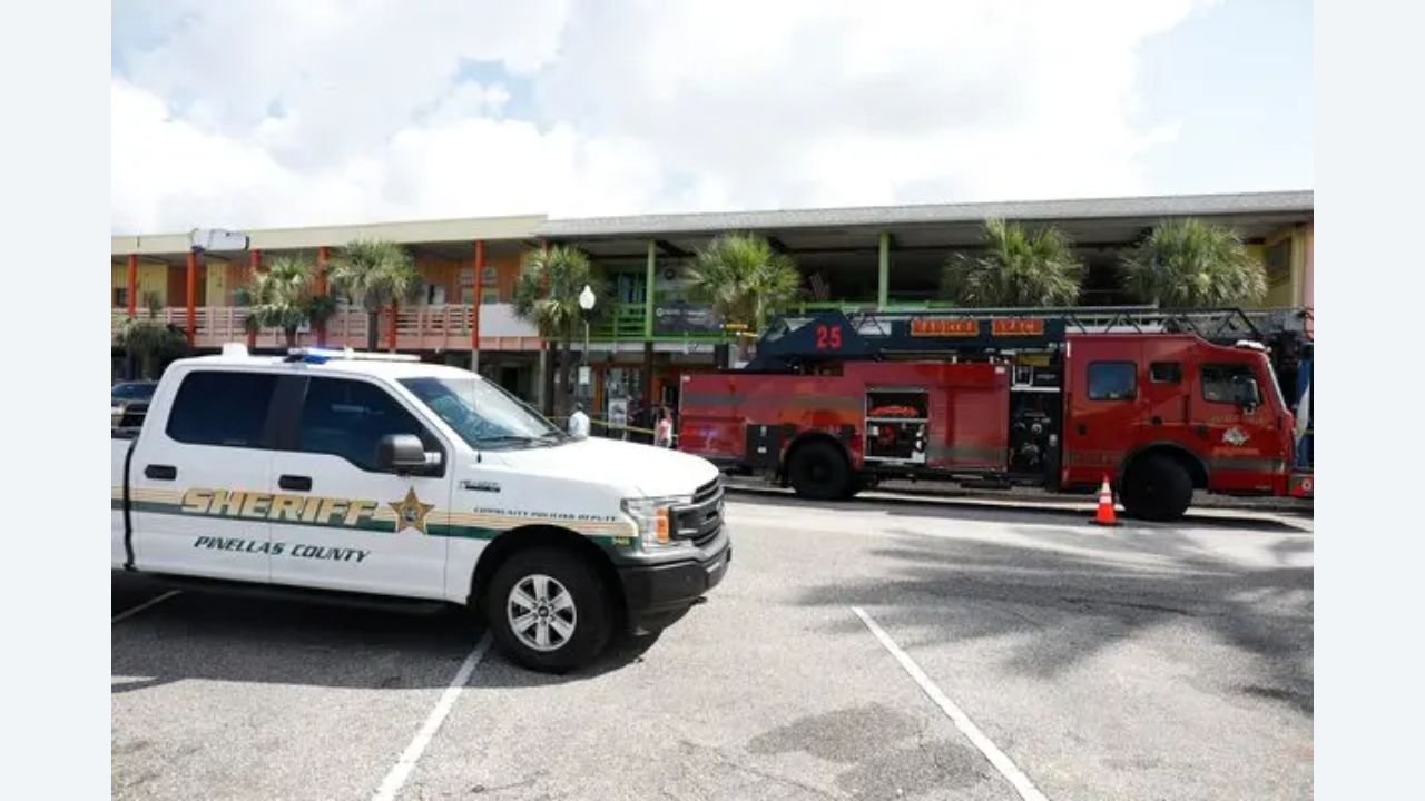 Devastating Florida Rescue Center Fire Claims Lives of Chinchillas Devastating Florida Rescue Center Fire Claims Lives of Chinchillas