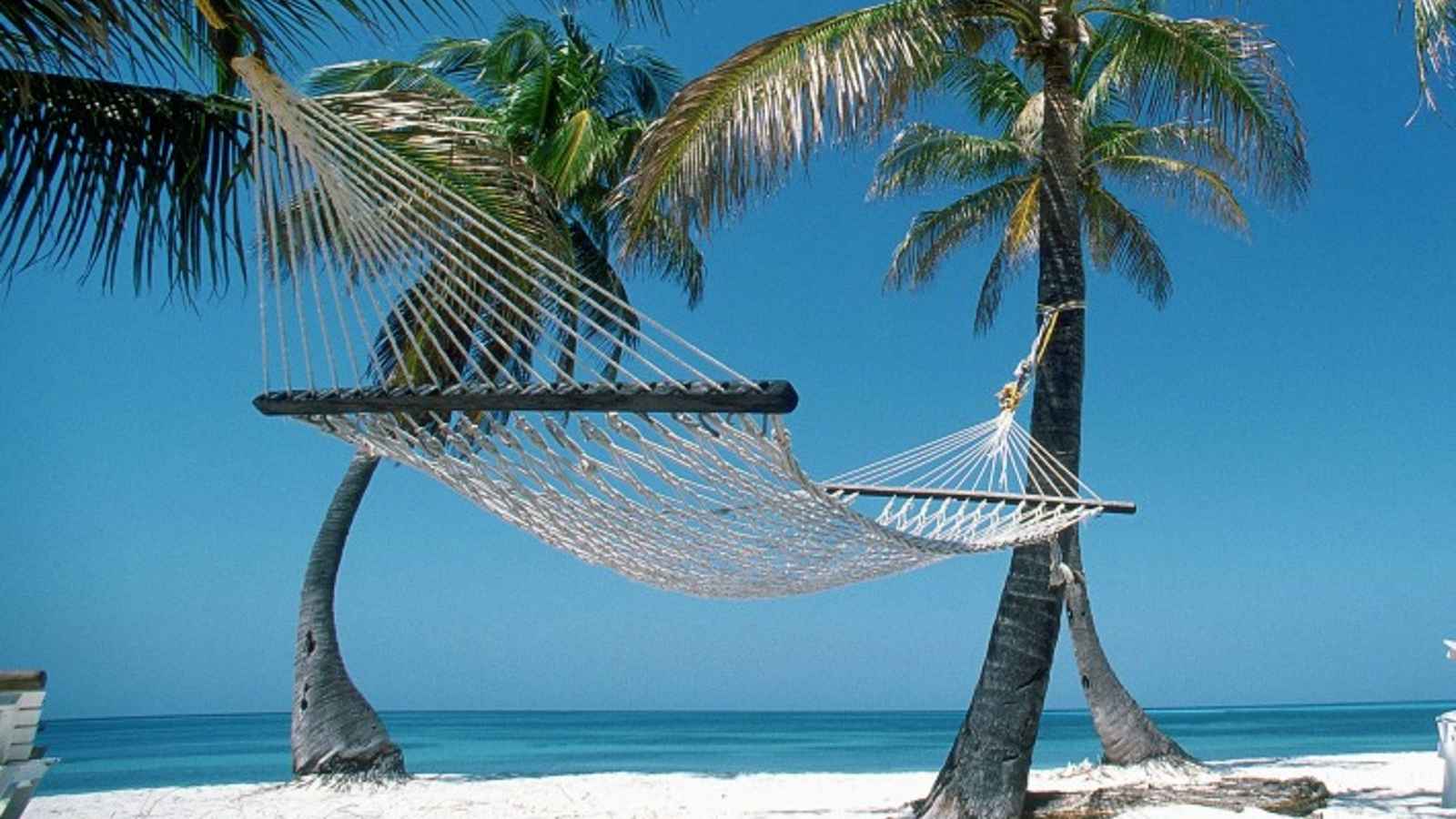National Hammock Day 2023: Date, History, Facts about Hammocks