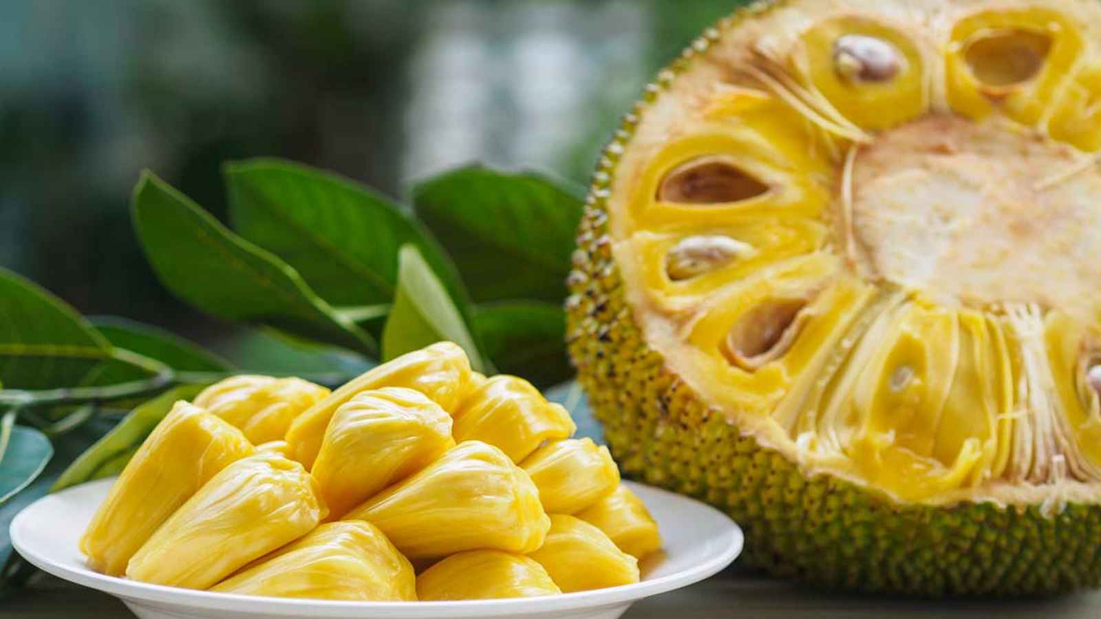 Jackfruit Day in India 2023: Date, History, Facts, Activities
