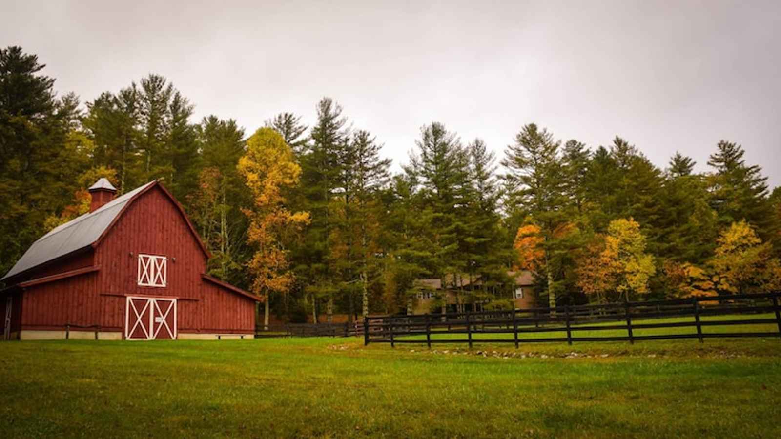 Barn Day in United States 2023: Date, History, Facts, Activities