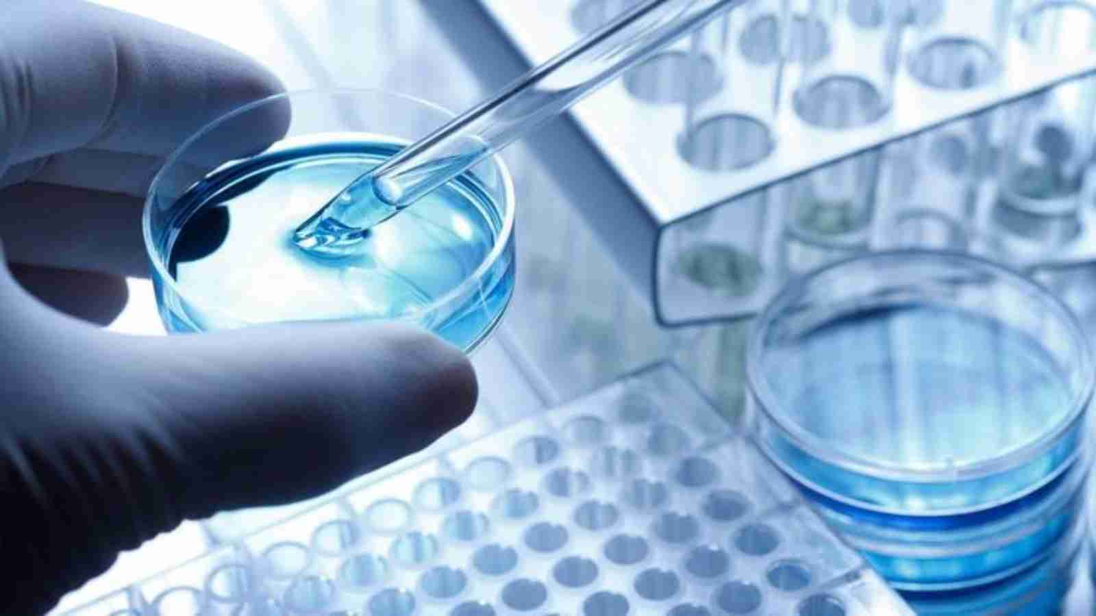 Detailed Process of PhD in Biotechnology Admissions