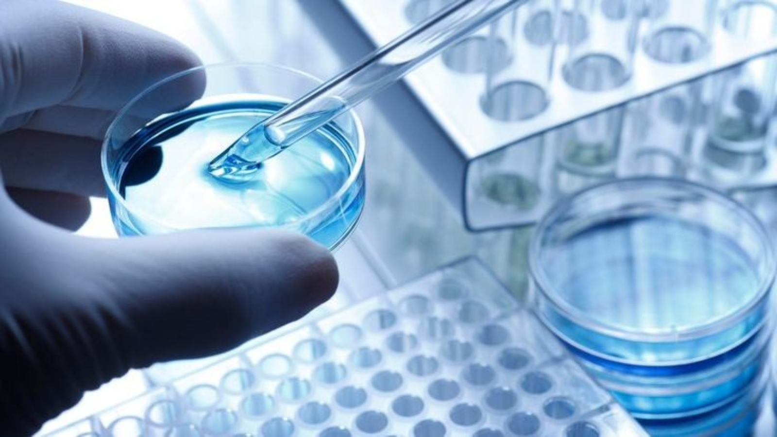 btech-biotechnology-jobs-and-salary-in-india-eduvast