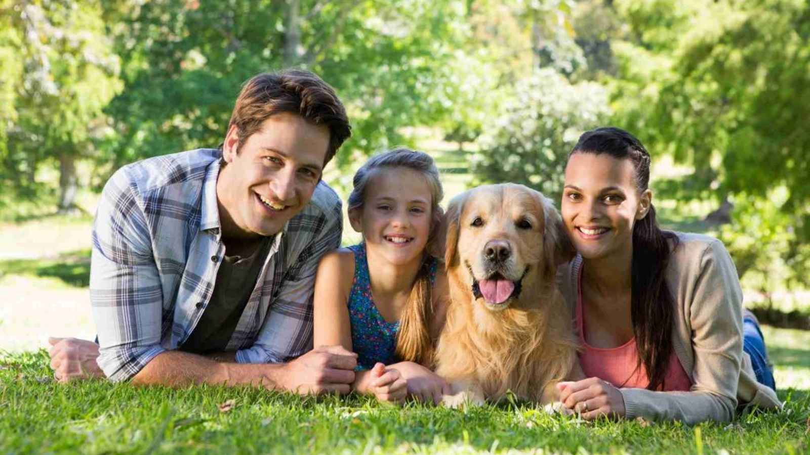 national-dog-day-wishes-quotes-greetings-and-more-eduvast