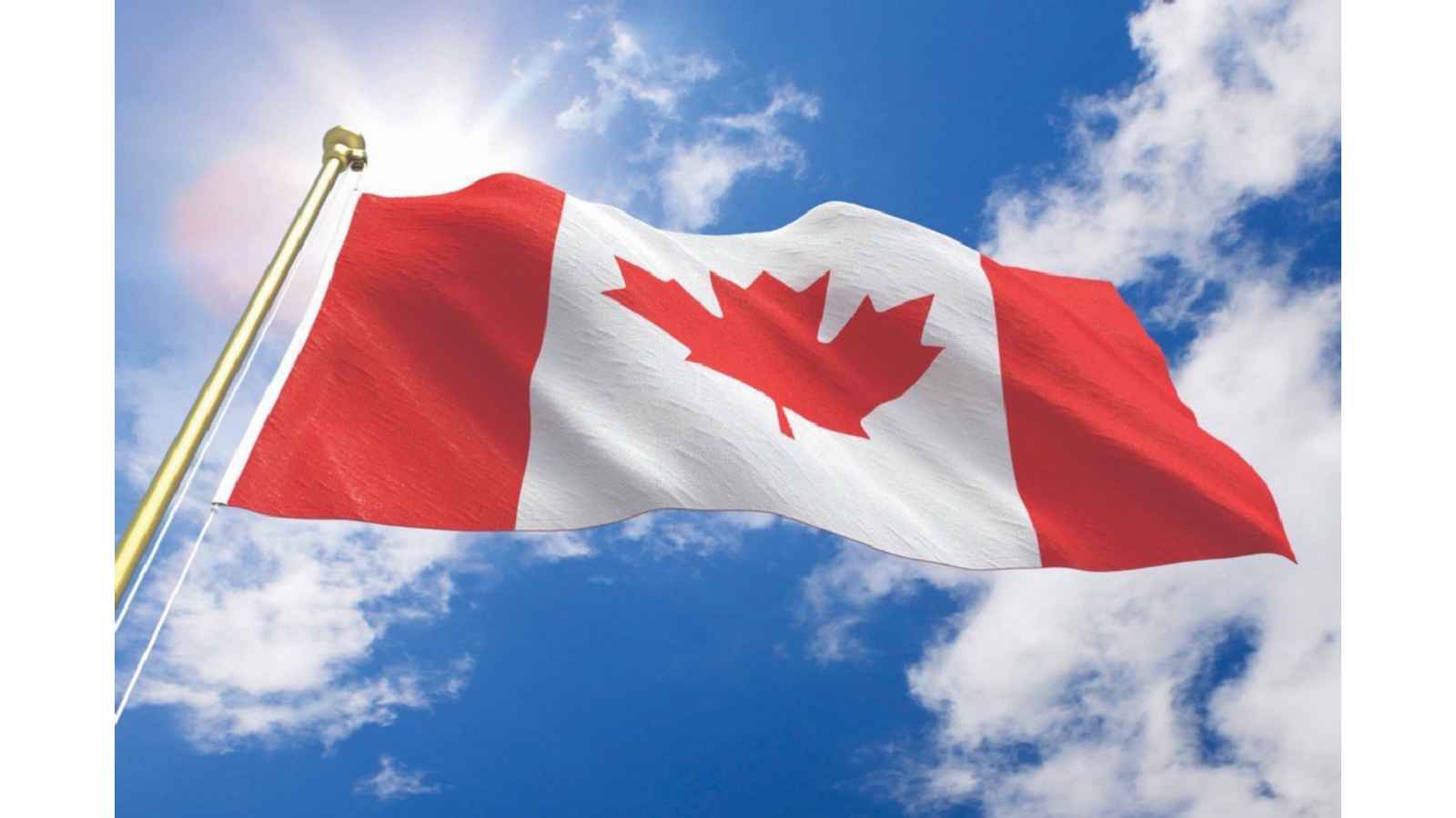 Top 5 Priorities for Your First Week in Canada