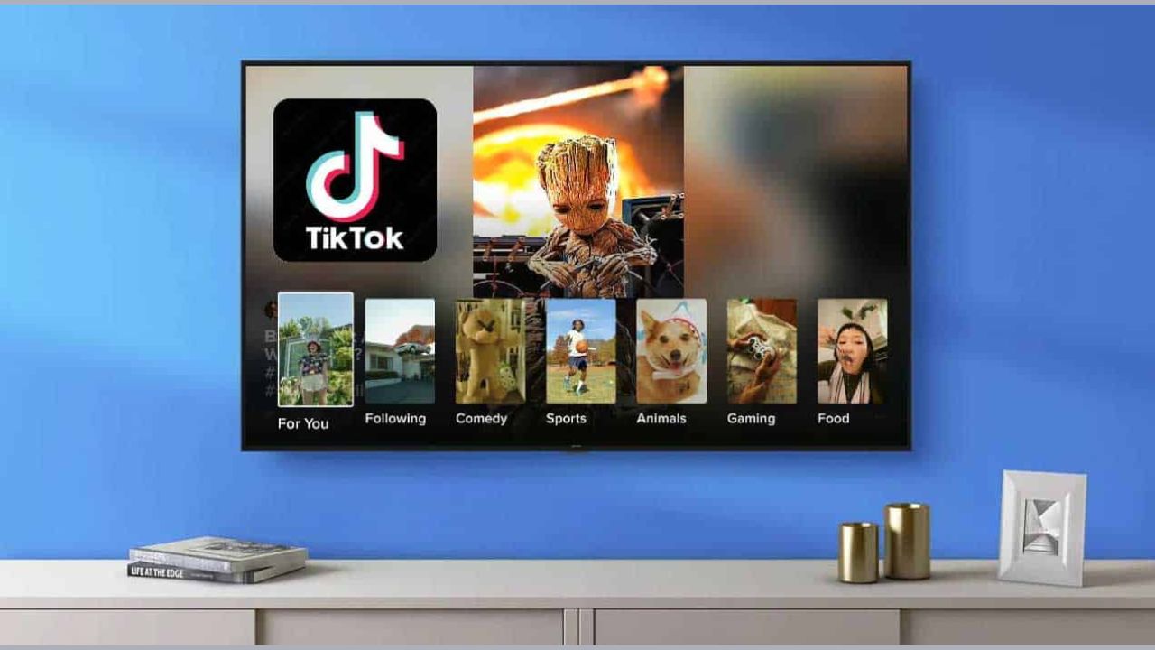 Activate TikTok TV in 2023