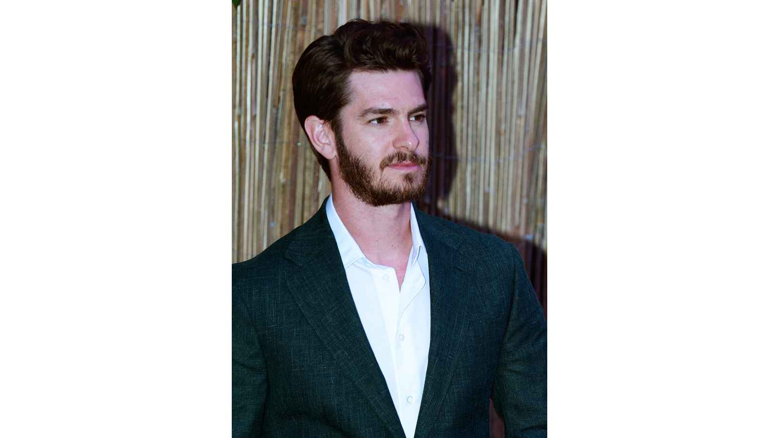 Andrew Garfield Biography: Age, Height, Birthday, Family, Net Worth ...