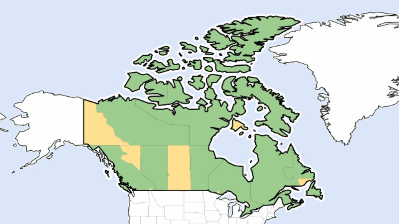 Daylight Savings Time in Canada Spring Forward 2023