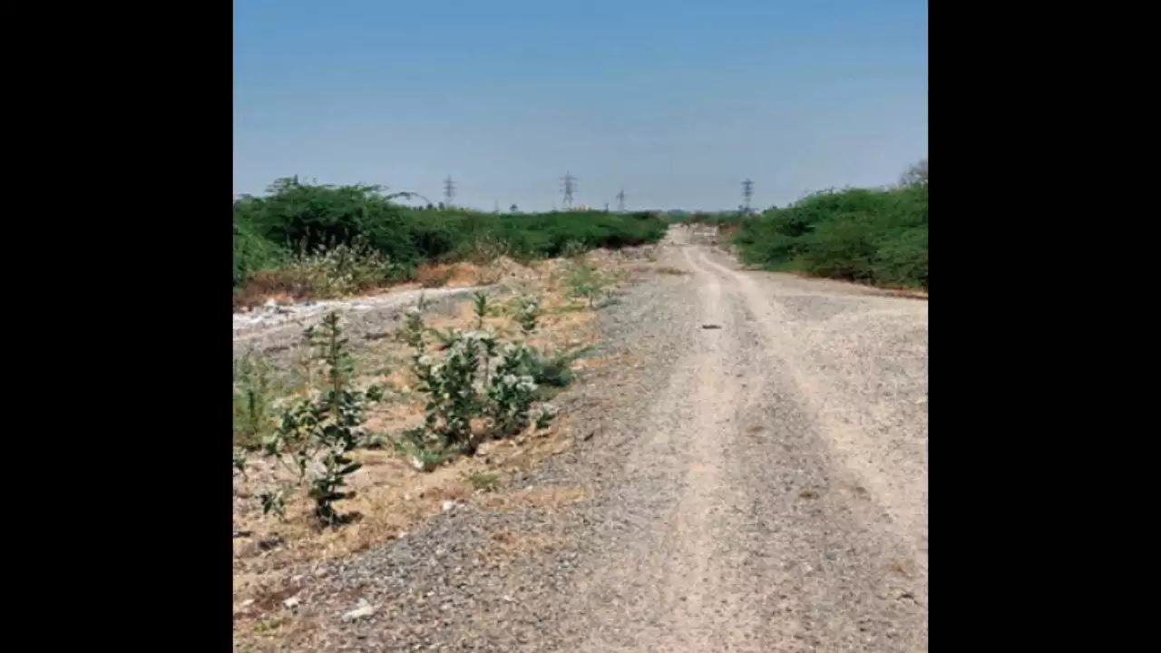NIT Trichy to verify DPR of semi-ring road