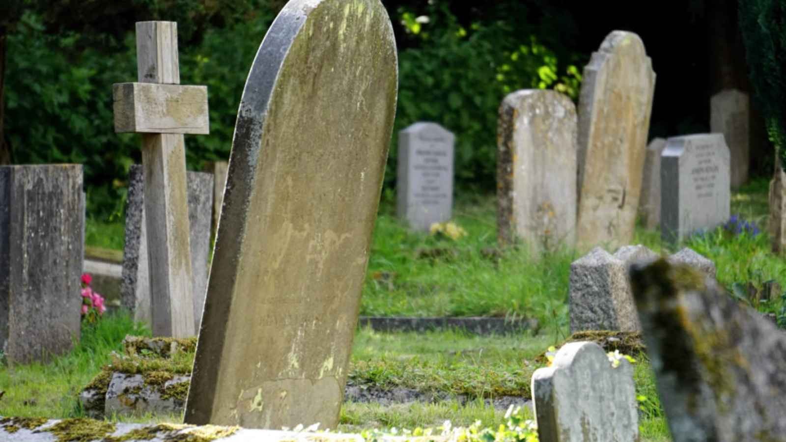 Dying to Know Day Dying to Know Day 2023: Date, History, Facts about Cremation