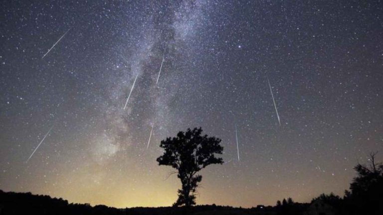 Annual Perseid Meteor Shower Peak Night 2023: Date, History, Facts