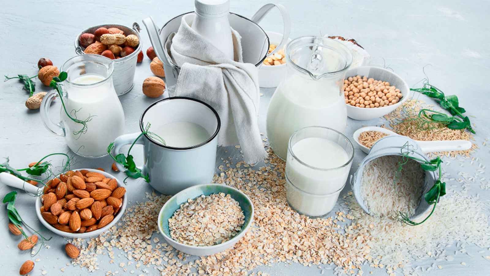 World Plant Milk Day World Plant Milk Day 2023: Date, History, Facts, Activities