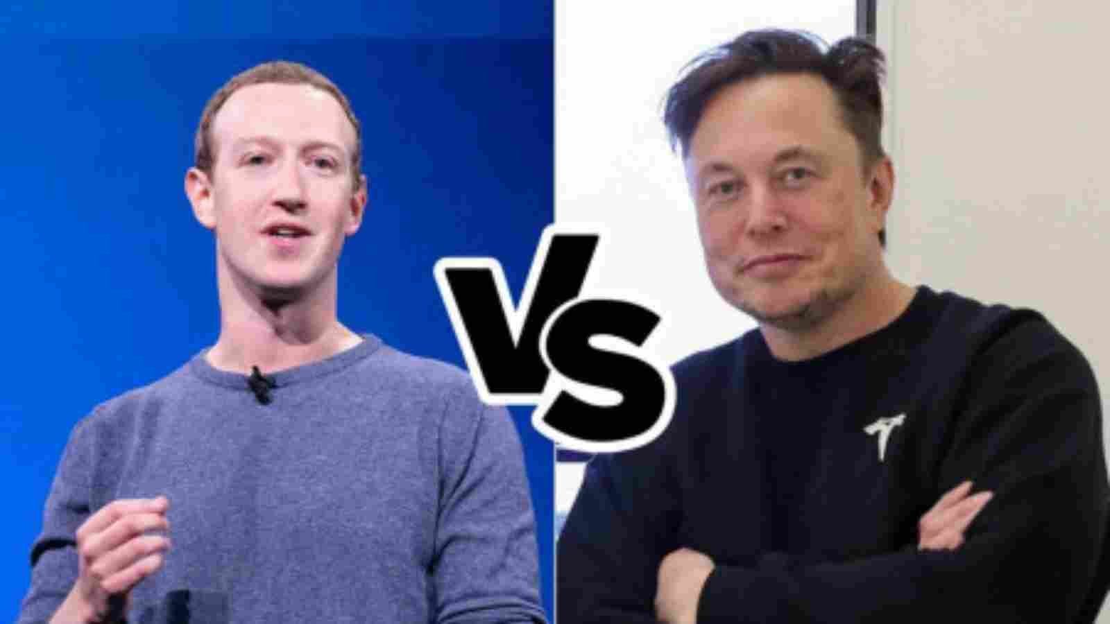 Mark Zuckerberg and Elon Musk Fight: Could Generate a billion dollars in revenue Mark Zuckerberg and Elon Musk Fight: Could Generate a billion dollars in revenue