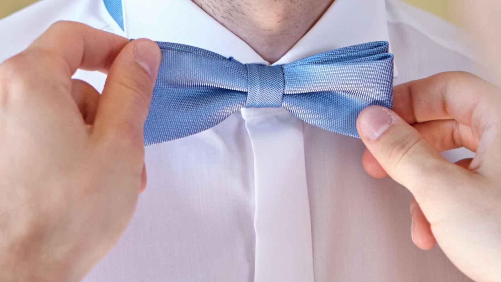 International Bow Day 2023 Date, History, Facts, Activities