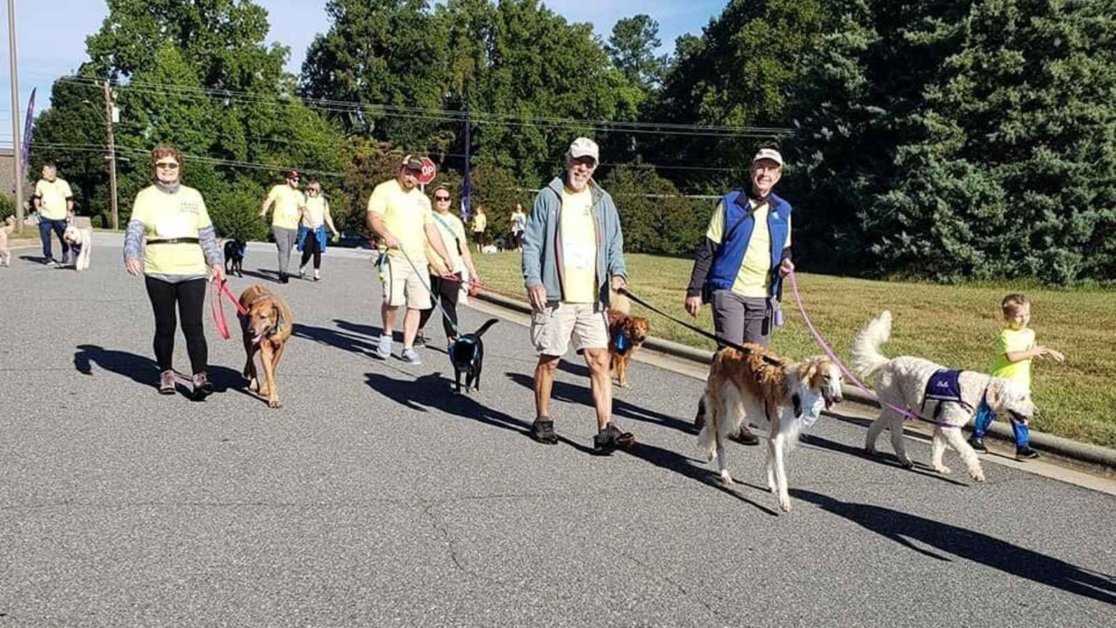World’s Largest Pet Walk World’s Largest Pet Walk 2023: Date, History, Facts, Events