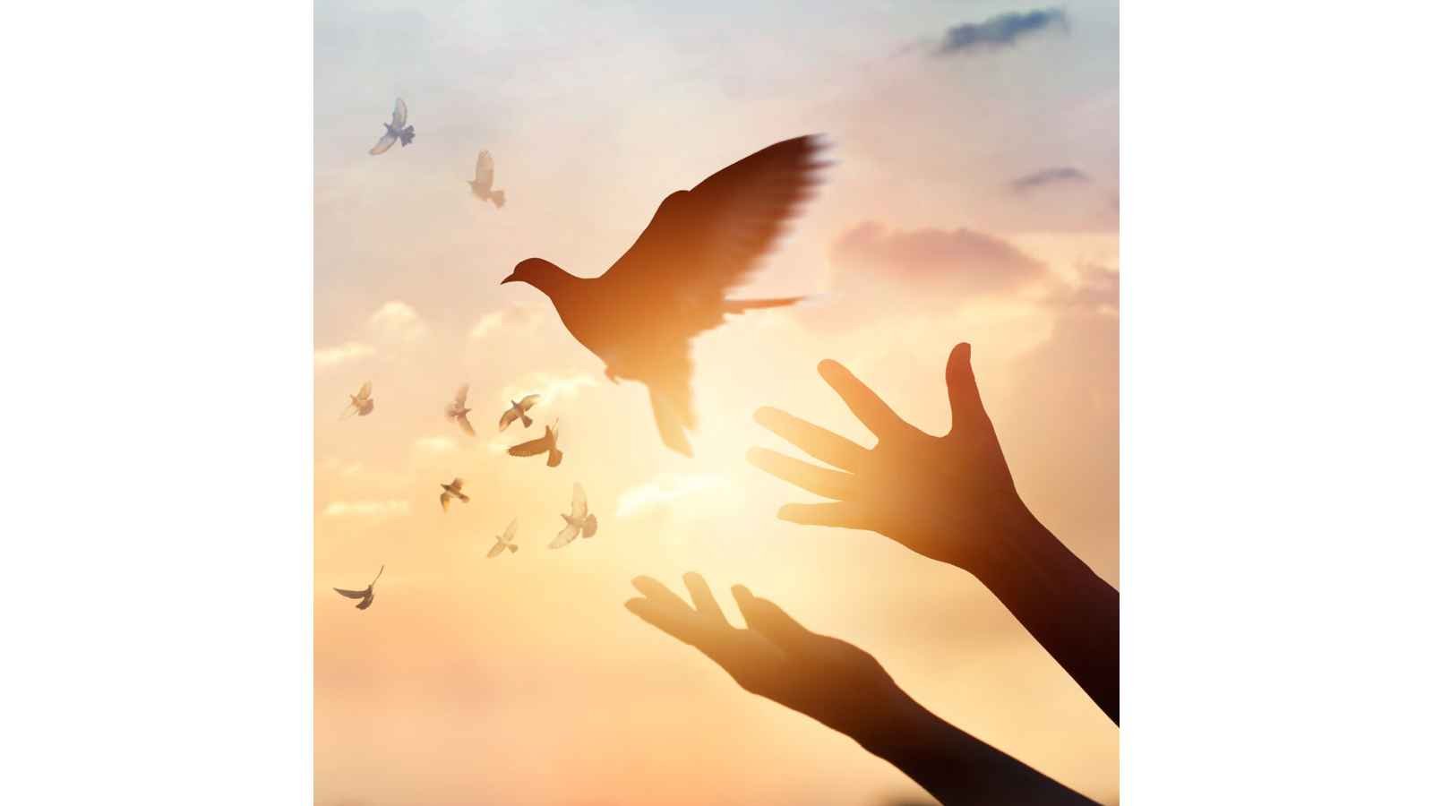 International Day of Peace International Day of Peace 2023: Date, History, Facts about Culture of Peace