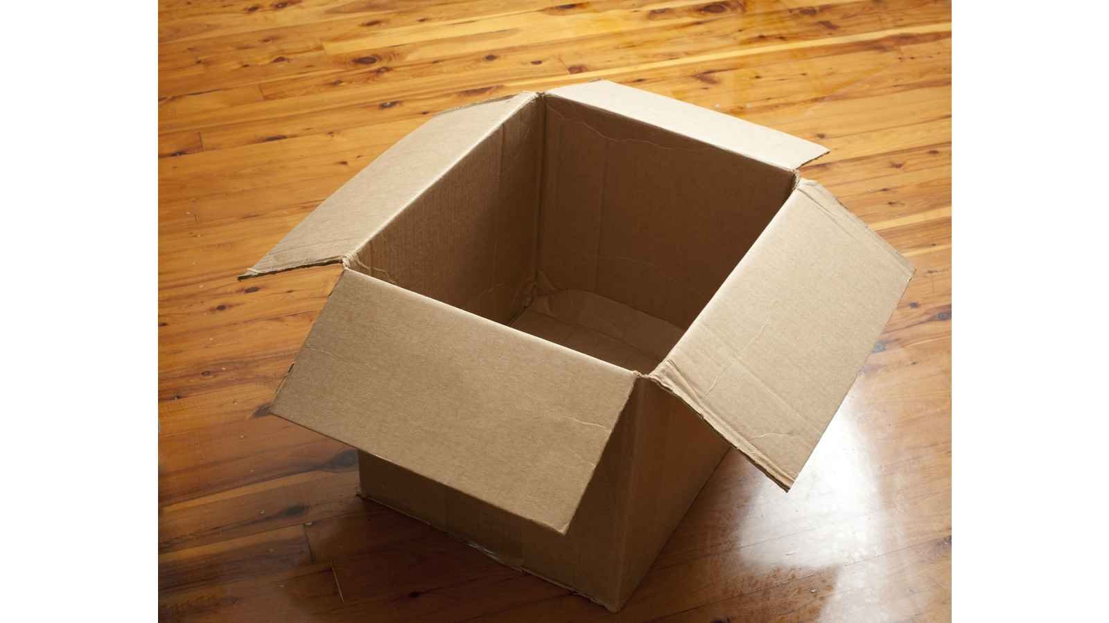 National Cartonnage Day National Cartonnage Day 2023: Date, History, Facts about Cardboard Boxes
