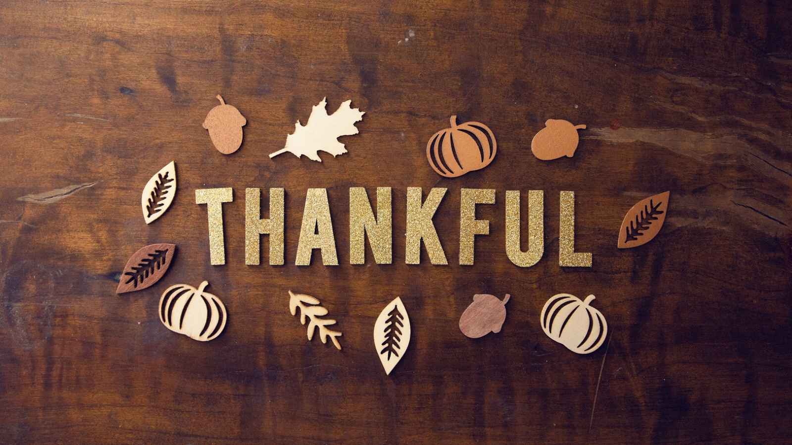 World Gratitude Day World Gratitude Day 2023: Date, History, Facts, Activities