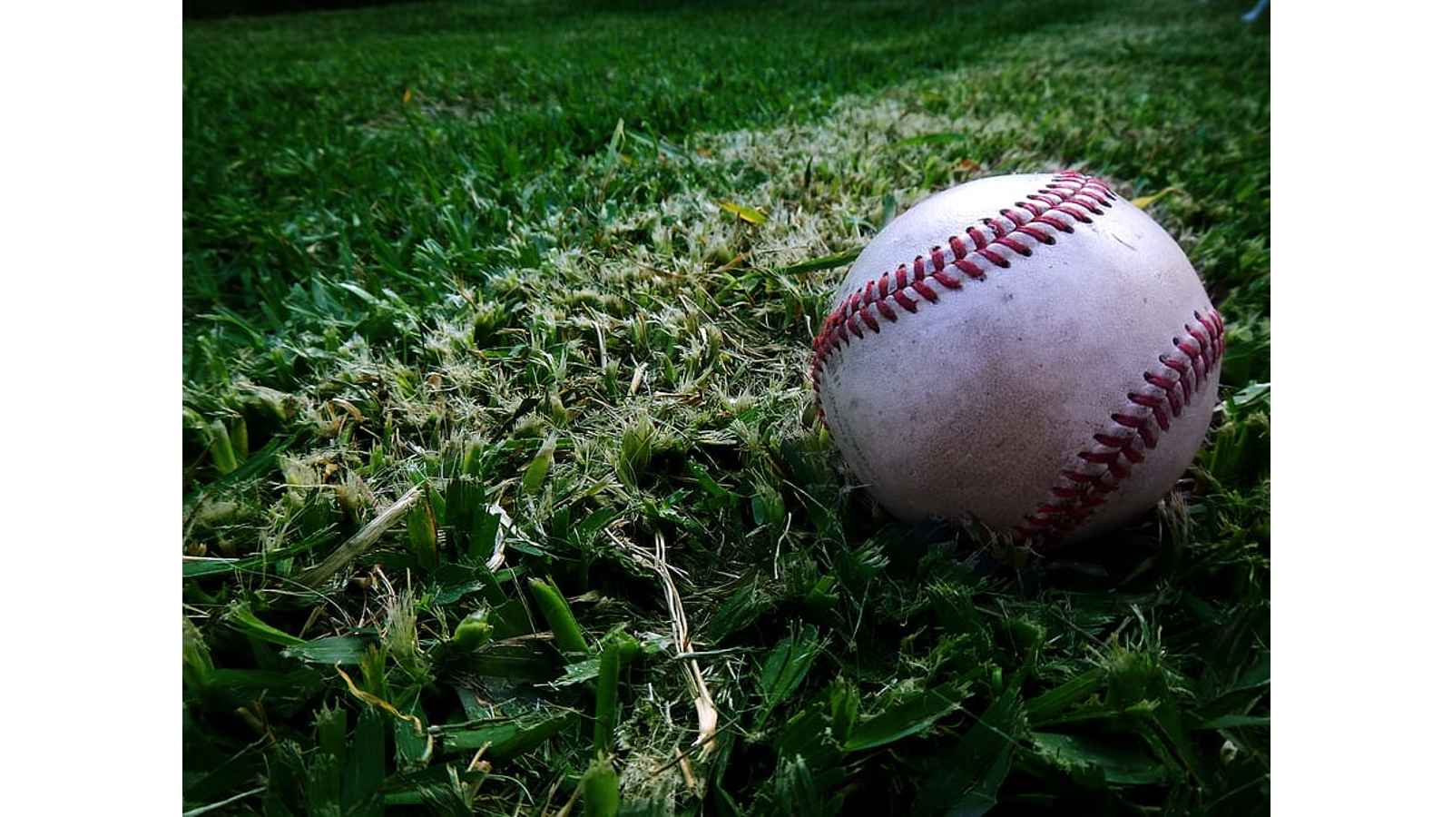 Spalding Baseball Day 2023 Date, History, Facts, Activities