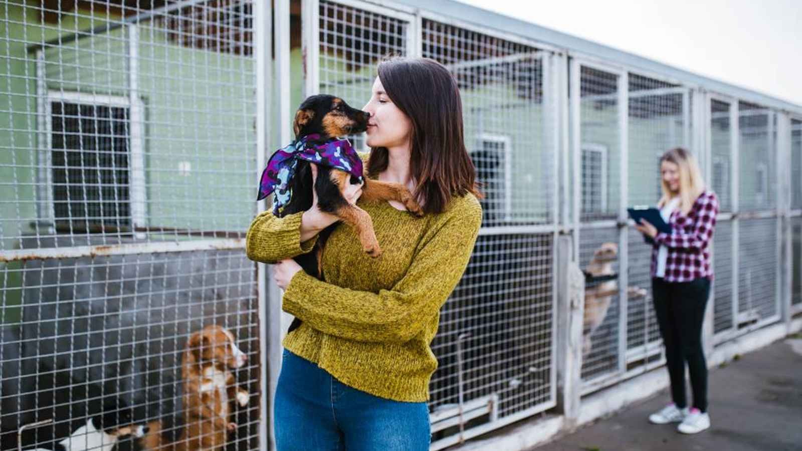Remember Me Thursday Remember Me Thursday 2023: Date, History, Facts about Animal Shelters