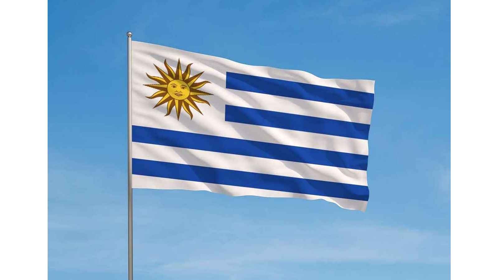 Uruguay Day of Cultural Diversity/Day of the Races 2023: Date, History, Facts about Uruguay