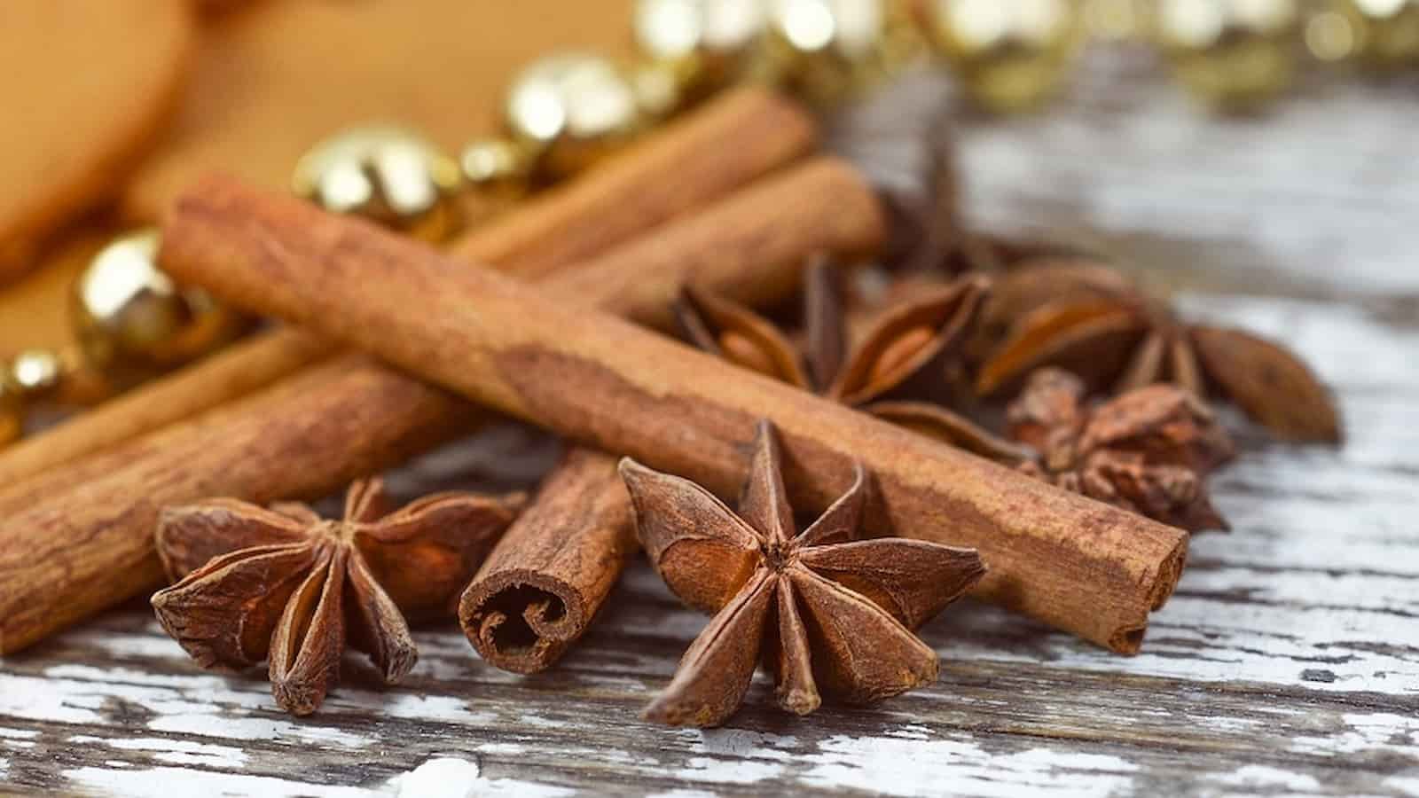 National Cinnamon Day (1) National Cinnamon Day 2023: Date, History, Significance, Facts Cinnamon Spice