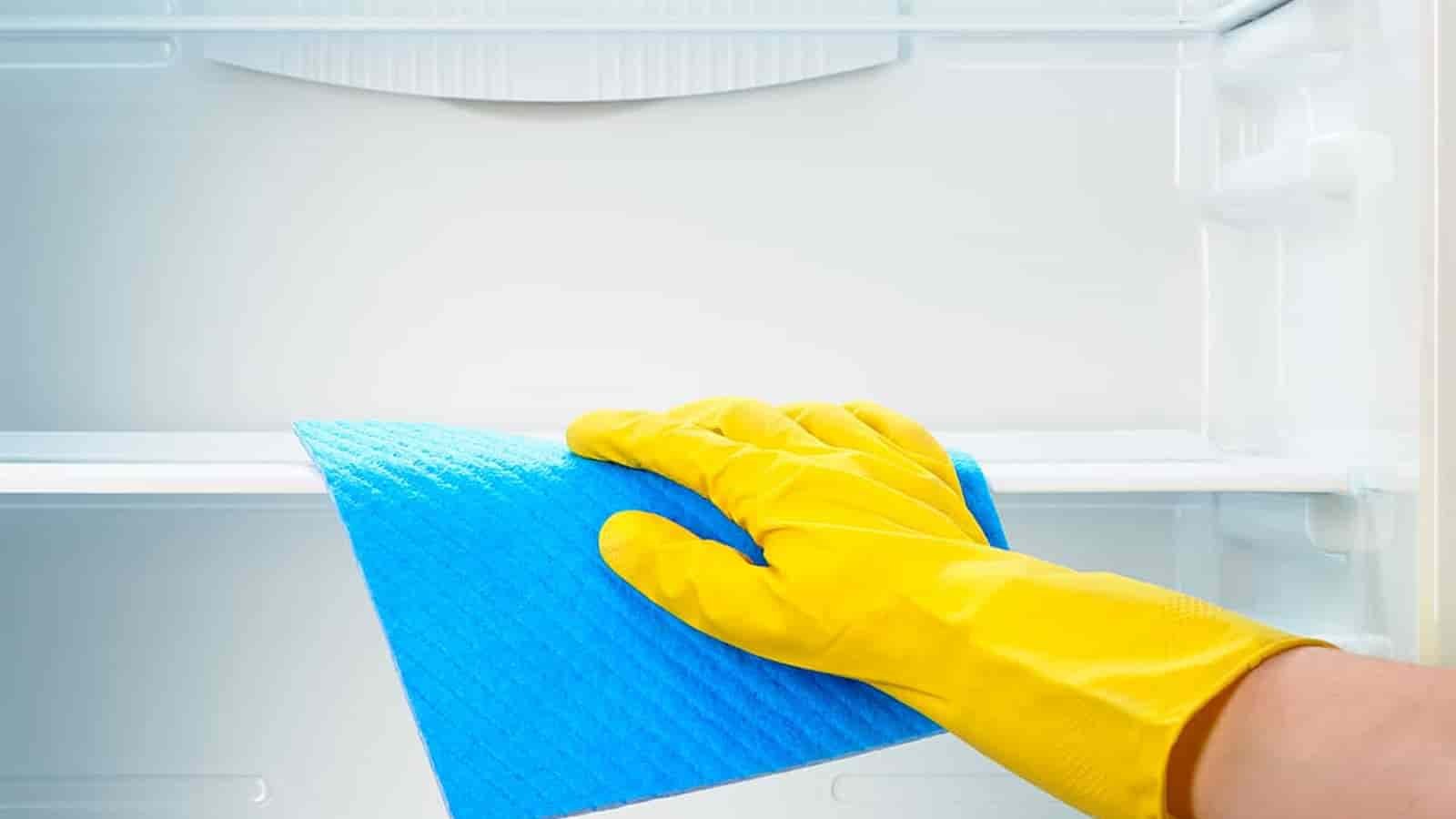 National Clean Out Your Fridge Day National Clean Out Your Fridge Day