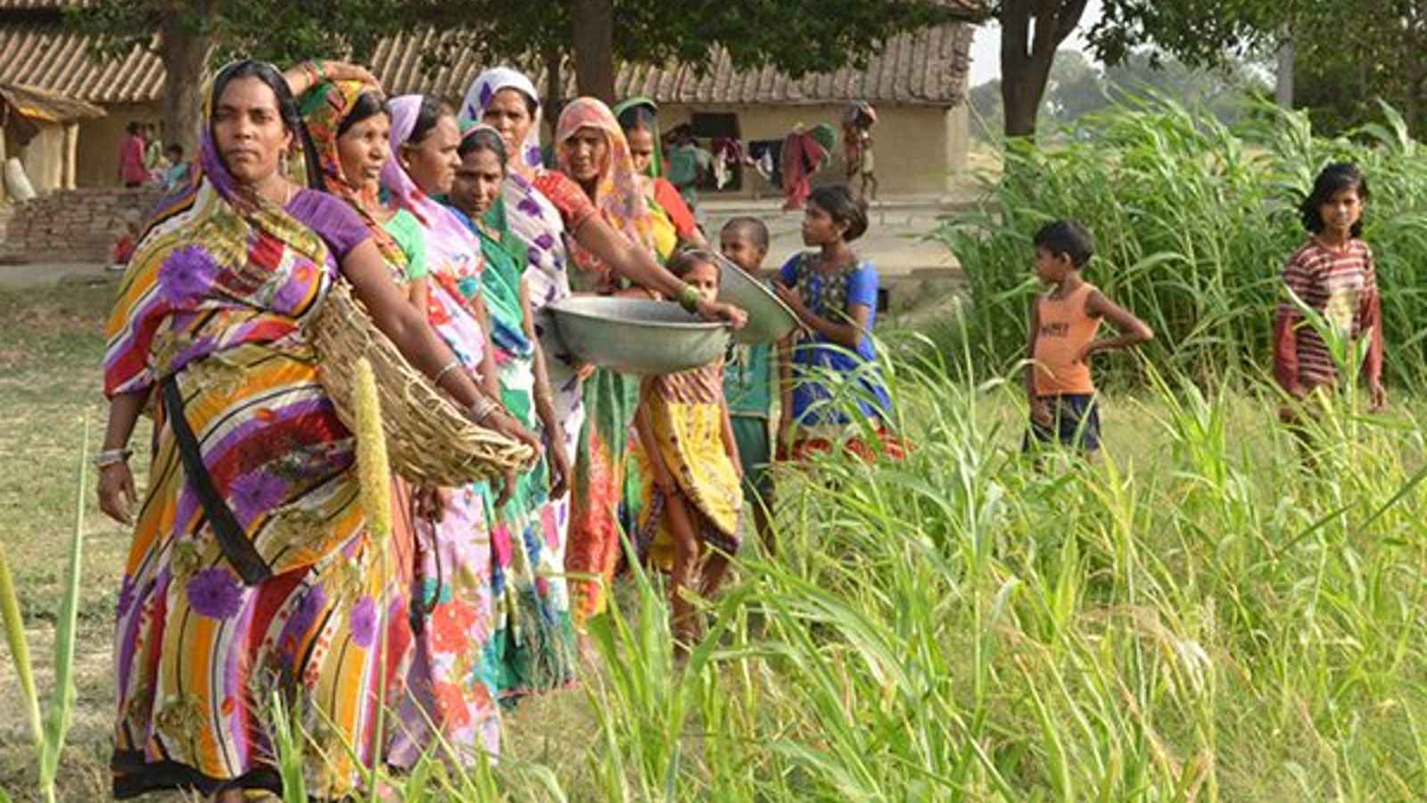 International Day of Rural Women 2023: Date, History, Facts about United Nations women