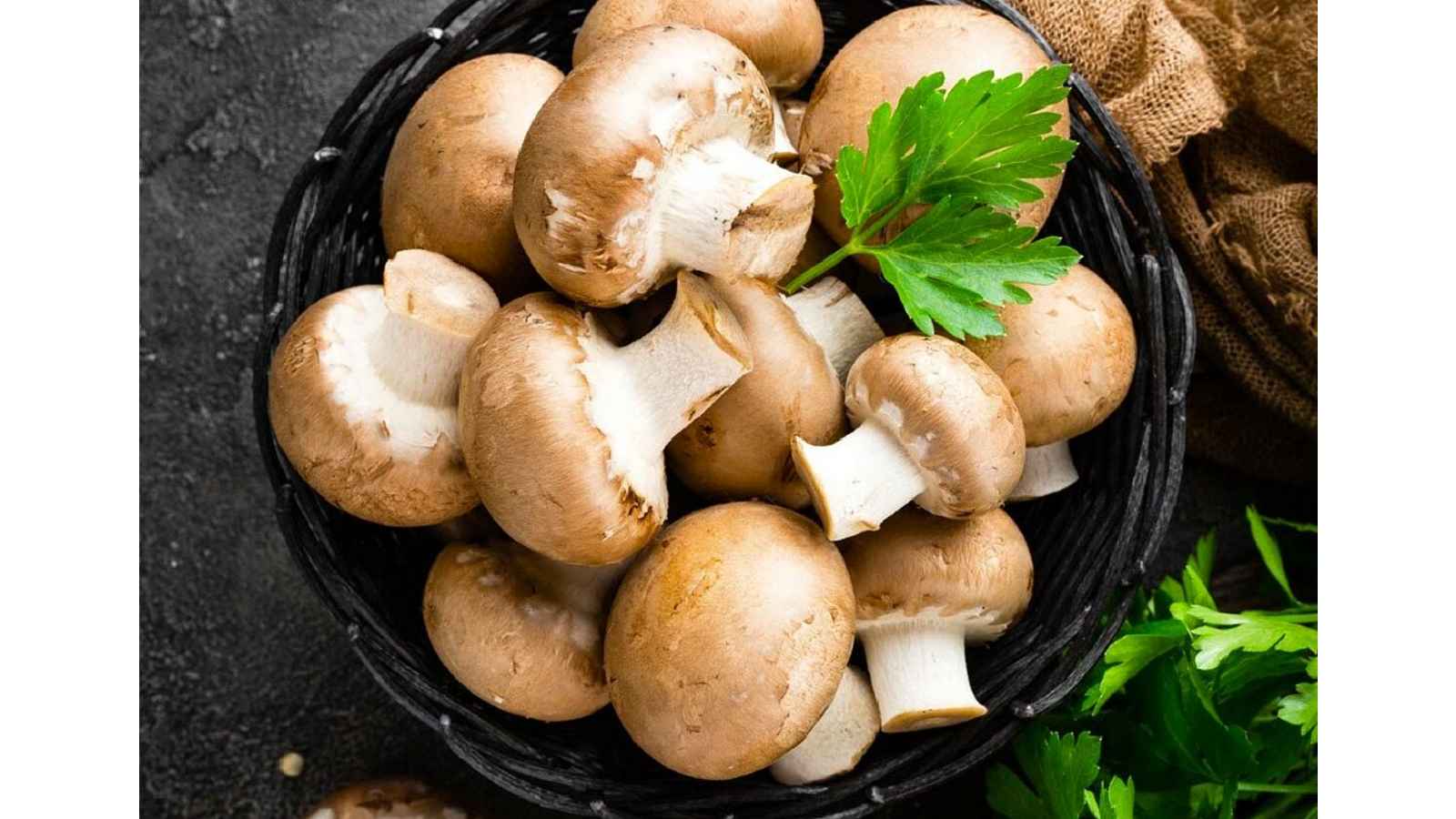 National Mushroom Day 2023: Date, History, Facts, Activities