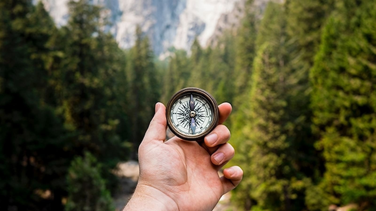 Marooned Without a Compass Day Marooned Without a Compass Day