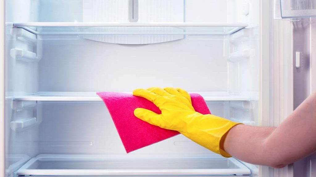 National Clean Out Your Refrigerator Day 2023 Date, History, 5 Facts