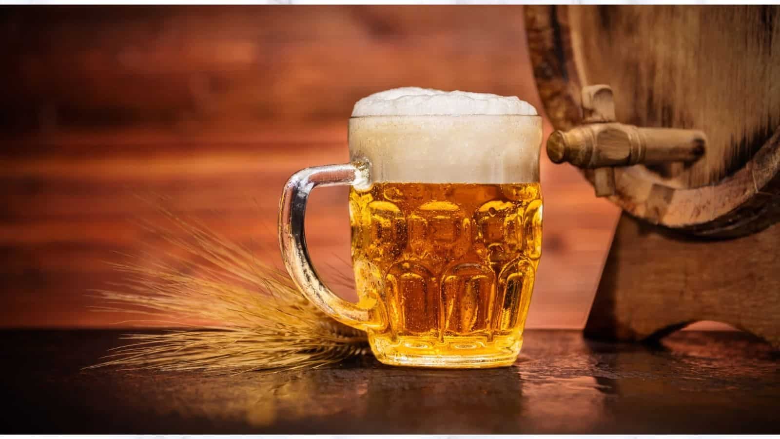 National Lager Day 2023: Date, History and How to Celebrate National Lager Day 2023: Date, History and How to Celebrate