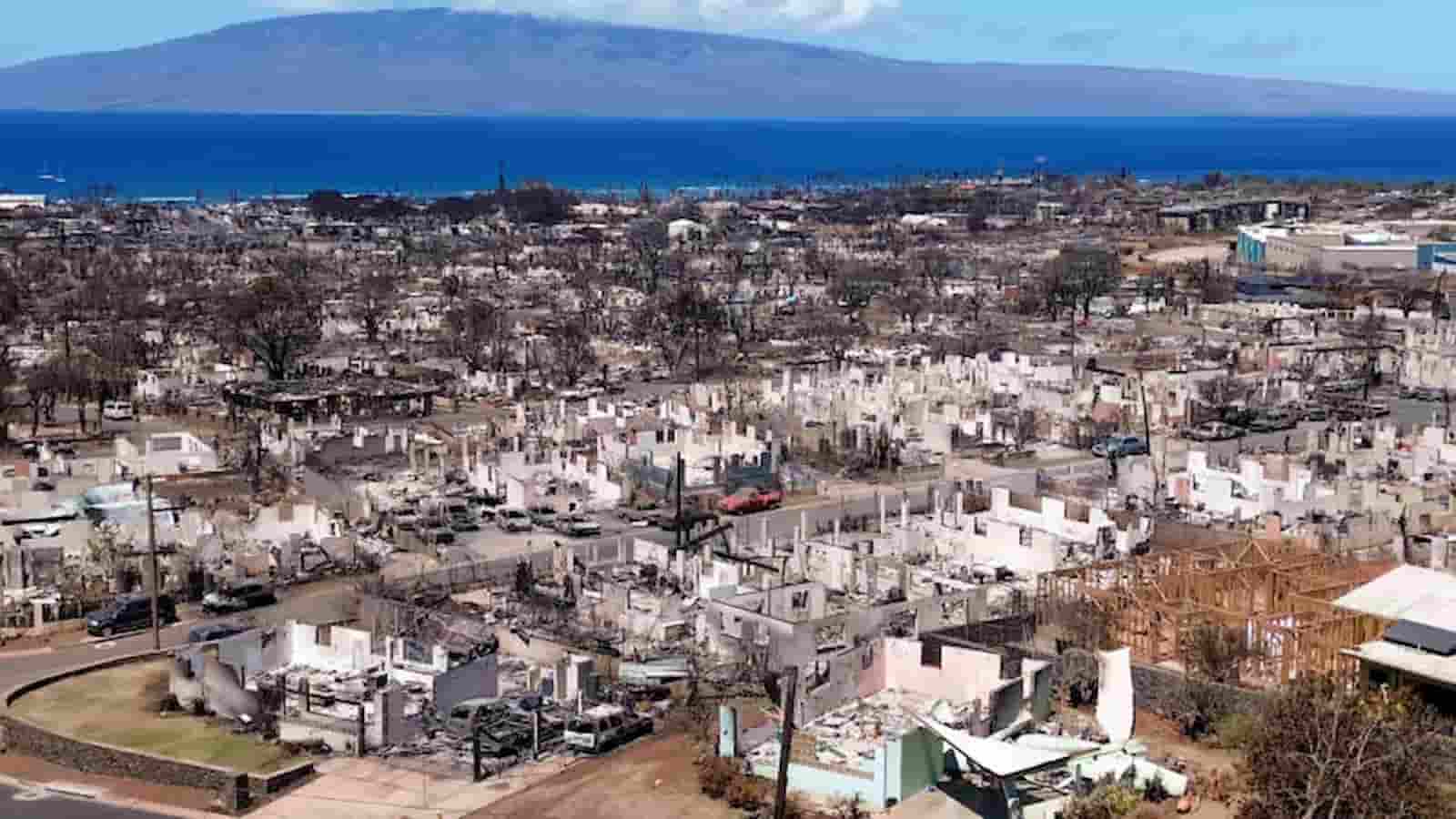 Lahaina Recovery: Businesses and residents return following wildfire damage