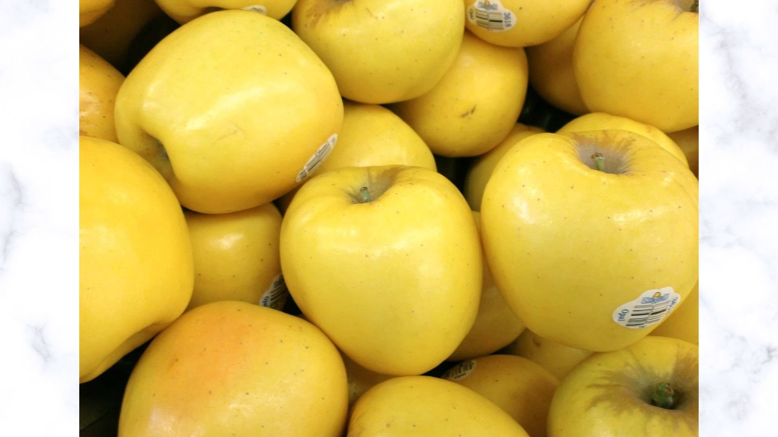 National Opal Apples Day 2023: Date, History and activities to do on this day National Opal Apples Day 2023: Date, History and activities to do on this day